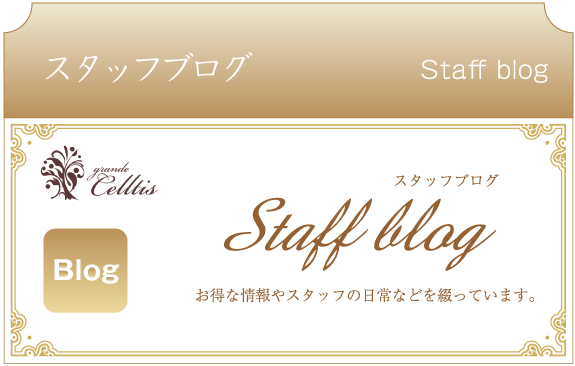 鈴鹿市　グランデセルティスのスタッフブログ
