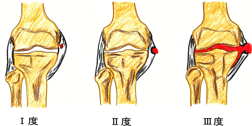 膝