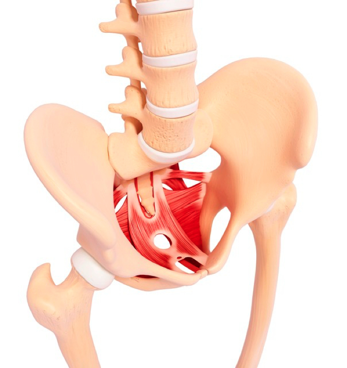 骨盤底筋