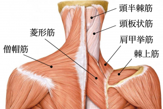 首筋